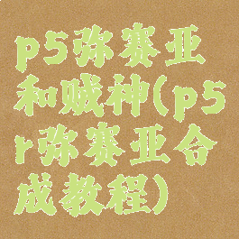 p5弥赛亚和贼神(p5r弥赛亚合成教程)