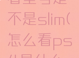 ps4怎么看型号是不是slim(怎么看ps4是什么型号)