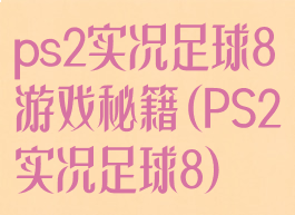 ps2实况足球8游戏秘籍(PS2实况足球8)