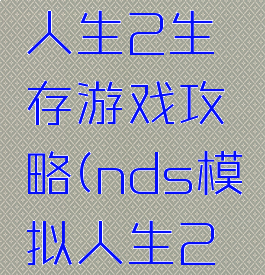 psp模拟人生2生存游戏攻略(nds模拟人生2攻略)