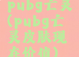 pubg亡灵(pubg亡灵皮肤现在价值)