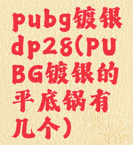 pubg镀银dp28(PUBG镀银的平底锅有几个)