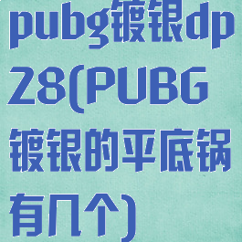 pubg镀银dp28(PUBG镀银的平底锅有几个)