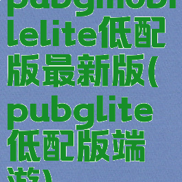 pubgmobilelite低配版最新版(pubglite低配版端游)