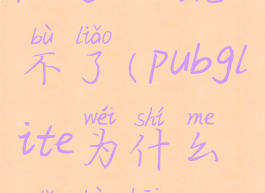 pubglite玩不了(pubglite为什么打不开)