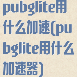 pubglite用什么加速(pubglite用什么加速器)