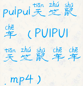 puipui天竺鼠车(PUIPUI天竺鼠车车.mp4)