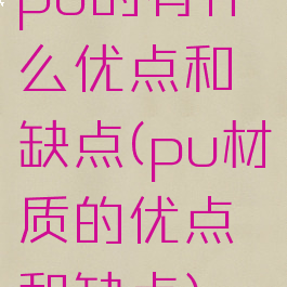 pu的有什么优点和缺点(pu材质的优点和缺点)