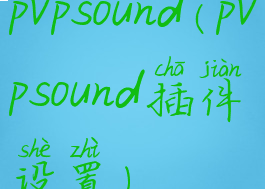 pvpsound(pvpsound插件设置)