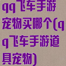 qq飞车手游宠物买哪个(qq飞车手游道具宠物)