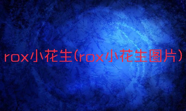 rox小花生(rox小花生图片)