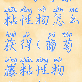raft葡萄藤粘性物怎么获得(葡萄藤粘性物怎么获得)