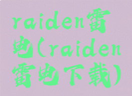 raiden雷电(raiden雷电下载)