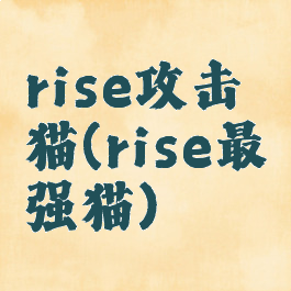 rise攻击猫(rise最强猫)