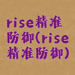 rise精准防御(rise精准防御)