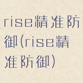 rise精准防御(rise精准防御)