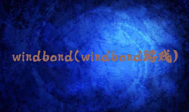 windbond(windbond游戏)