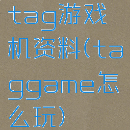 tag游戏机资料(taggame怎么玩)