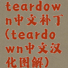 teardown中文补丁(teardown中文汉化图解)