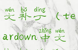 teardown中文补丁(teardown中文汉化图解)