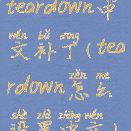 teardown中文补丁(teardown怎么设置中文)