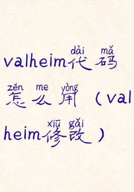 valheim代码怎么用(valheim修改)