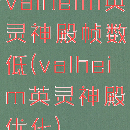 valheim英灵神殿帧数低(valheim英灵神殿优化)
