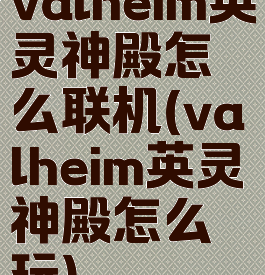 valheim英灵神殿怎么联机(valheim英灵神殿怎么玩)