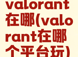 valorant在哪(valorant在哪个平台玩)