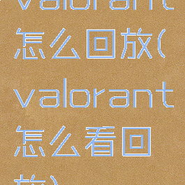 valorant怎么回放(valorant怎么看回放)