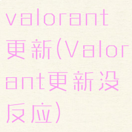 valorant更新(Valorant更新没反应)