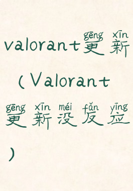 valorant更新(Valorant更新没反应)