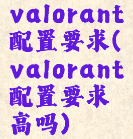 valorant配置要求(valorant配置要求高吗)