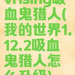 vrising吸血鬼猎人(我的世界1.12.2吸血鬼猎人怎么升级)