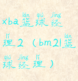 xba篮球经理2(bm21篮球经理)
